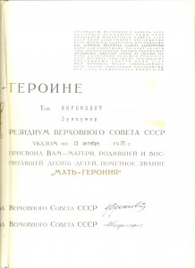 Мать-героиня № 271707 на доке (6569)