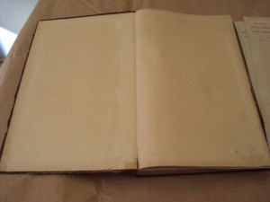 Чистая книга-журнал для записей.