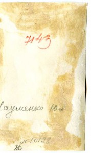 ГСС генерал-полковник Ю.А.НАУМЕНКО.