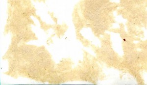 Ком.3 Уд.Армией ген.лейт.К.Н.ГАЛИЦКИЙ. Калининский фр.1943 г