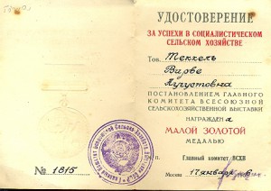 Малая ВСХВ в золоте с документом