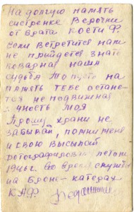 Амурская флотилия.