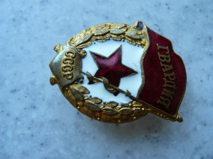 Гвардия военная (2).