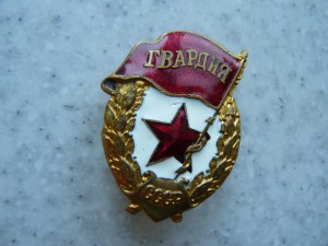 Гвардия военная (2).