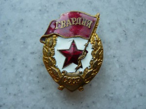 Гвардия военная (2).