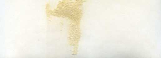 Л.И.БРЕЖНЕВ и Д.КАРТЕР.