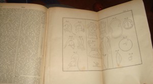 Любкер. Словарь классической древности, Т-во Вольфъ, 1888 г.