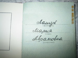 ПАРТИЗАН2-ДУБЛЬ С ДОК.