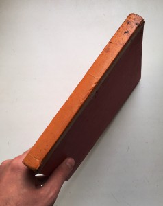 ЧУМА в Одессе. Книга с цветными вкладками и рис-ми про ЧУМУ