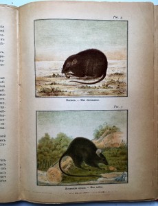 ЧУМА в Одессе. Книга с цветными вкладками и рис-ми про ЧУМУ