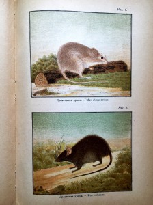 ЧУМА в Одессе. Книга с цветными вкладками и рис-ми про ЧУМУ