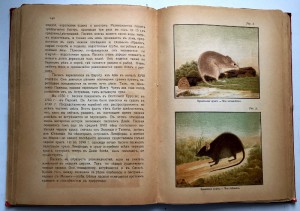 ЧУМА в Одессе. Книга с цветными вкладками и рис-ми про ЧУМУ