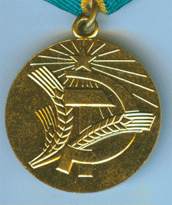 НЕЧЕРНОЗЕМЬЕ с доком ЛЮКС