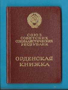 Архив. полковник ВВС ВМФ Южный бант. 20 лет. РККА итд..