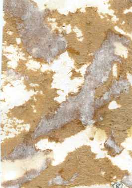 ГЕРОИ острова ДАМАНСКИЙ. 2 фото.