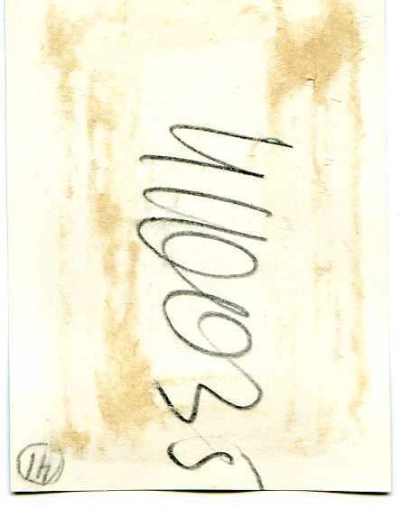 Маршал артиллерии Н.Н.ВОРОНОВ - июнь 1945 г.