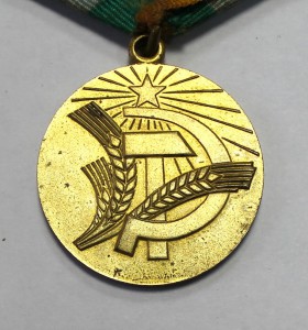 Нечерноземье + док