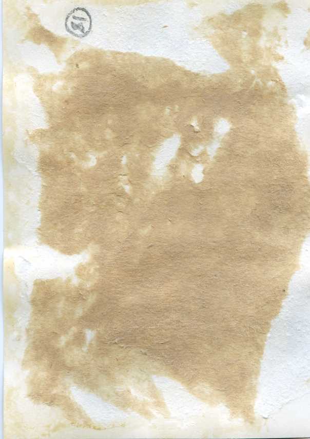 В доме отдыха ЧФ - капитан Л.М.ШВАРДШТЕЙН,ГСС Н.А.КИСЛЯК.