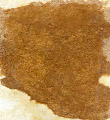 СИДОР АРТЕМЬЕВИЧ КОВПАК - 9 фото - ИЗВЕСТНЫЕ И НЕ ОЧЕНЬ.