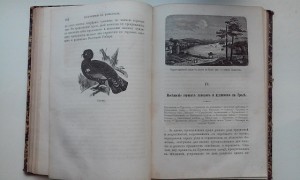 А. ЧЕРКАСОВ ПУТЕШЕСТВИЯ ПО СИБИРИ.
