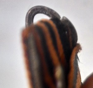 Слава 3 ст. № 137316