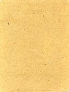 ГОРМИЛИЦИЯ Малеванского р-на г.Житомира. 29.11.1923 г.