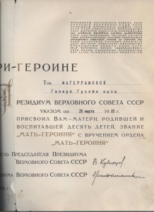Мать-героиня № 384876 на доке