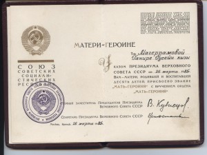 Мать-героиня № 384876 на доке