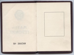 Мать-героиня № 384876 на доке