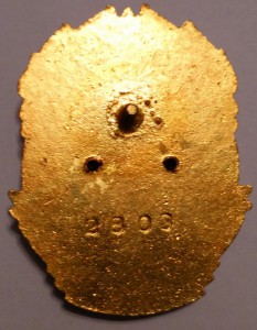 ЮГОСЛАВИЯ орден Народный Фронт Югославии № 2803