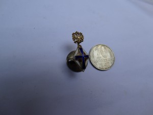 Фрачник в ЗОЛОТЕ с эмалью 56