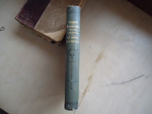 Д С Мережковский."Любовь сильнее смерти...1904