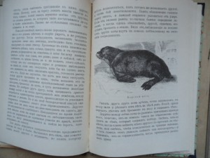 "Камчатка" .Инфантьев.изд. Э И Блэкъ.СП 1912