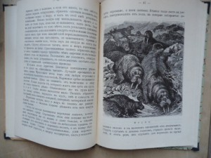 "Камчатка" .Инфантьев.изд. Э И Блэкъ.СП 1912