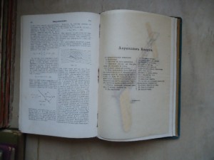 Энц.Словарь.т-ва Гранатъ. том 10
