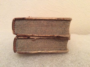 Вальтер Скотт 1824 год