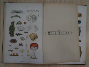 Большой зоологический, ботанический и минералогический атлас