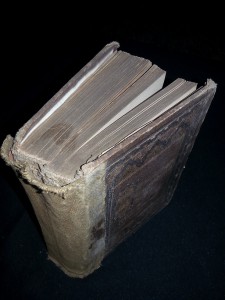 Жемчужины русской поэзии. 1874