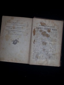 Жемчужины русской поэзии. 1874