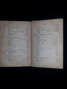 Жемчужины русской поэзии. 1874