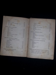 Жемчужины русской поэзии. 1874
