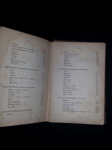 Жемчужины русской поэзии. 1874