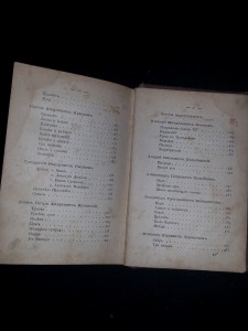 Жемчужины русской поэзии. 1874
