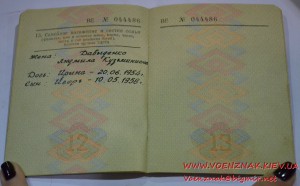 Золотая медаль и диплом за окончание Военного института