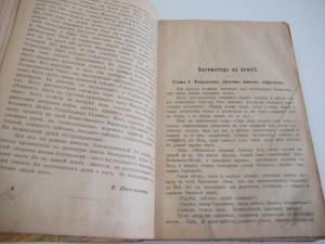 Богоматерь. Полное описание. Редкая.