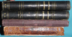 Некрасов Стихотворения 1873-1874