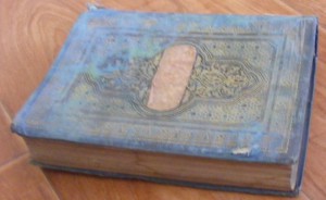 Стенин Восток. Страны креста и полумесяца 1892