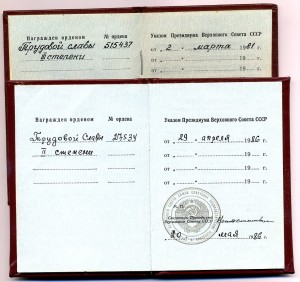 Трудовые Славы - 2 - 3 ст. на одного. ДОКУМЕНТЫ.