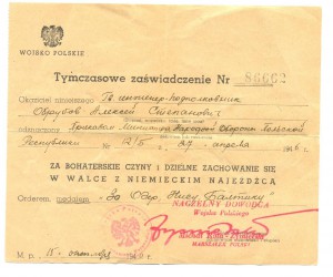 Польский док на нашего (6962)