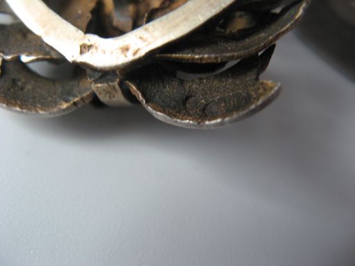 ТЕХНОЛОГИЧЕСКИЙ ИНСТИТУТ в классном исполнении.Все родное.